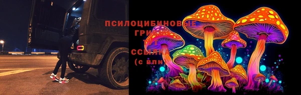 мяу мяу мука Белоозёрский