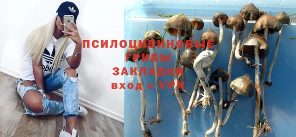 мяу мяу мука Белоозёрский