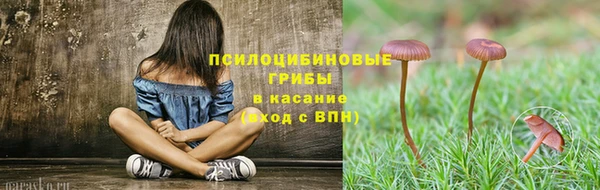 мяу мяу мука Белоозёрский